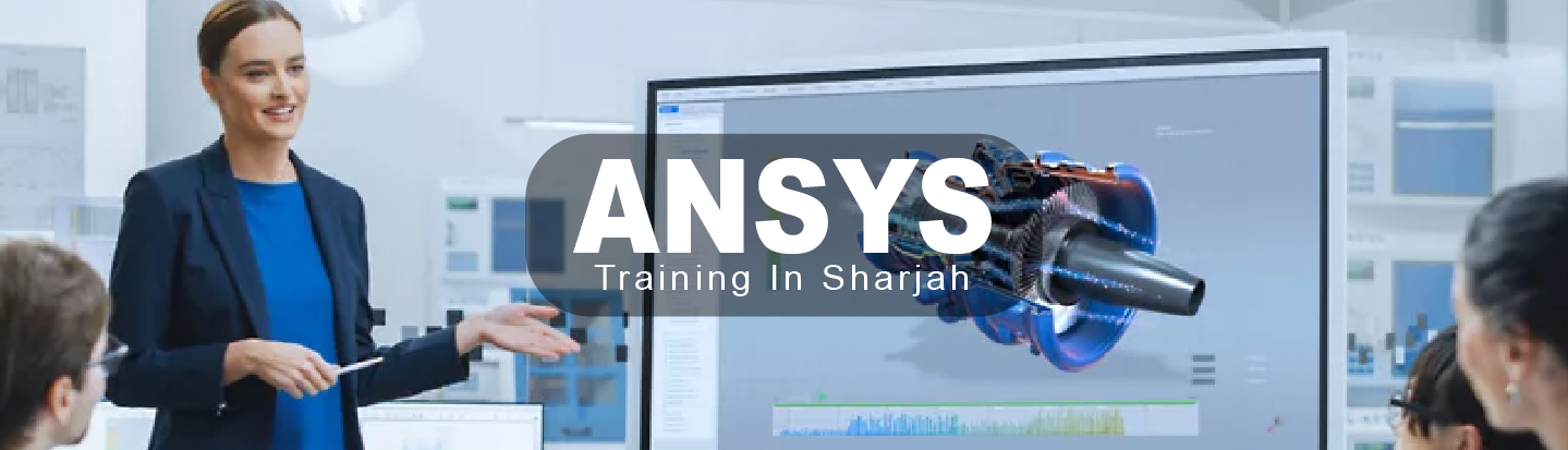 ansys-01